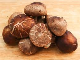 Shiitake Mushroom 2